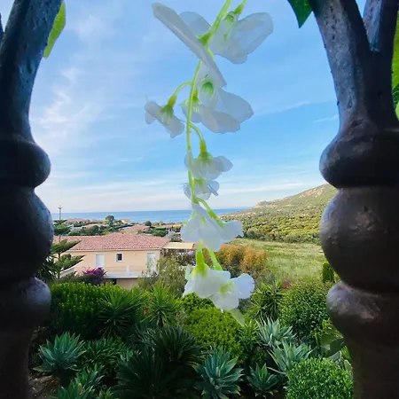 Appartement Super A Lumio (Corsica)
